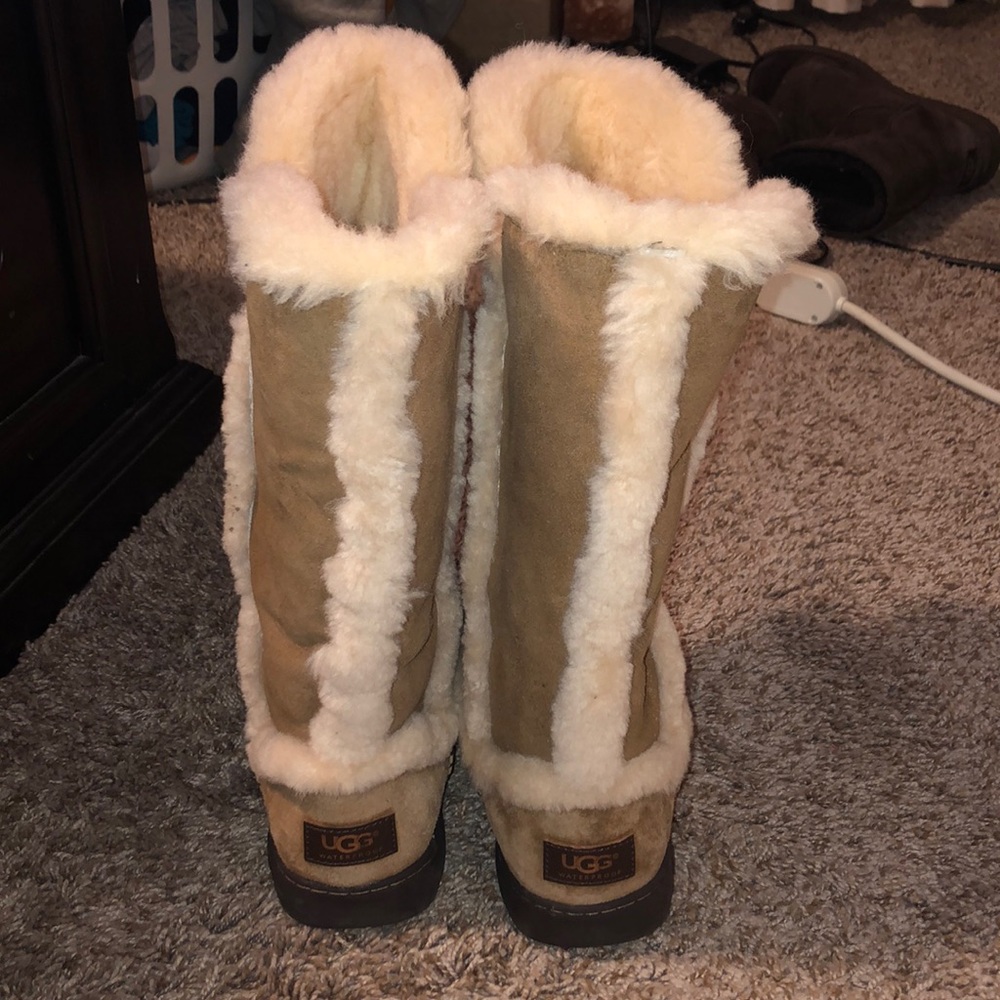 Ugg tall boots